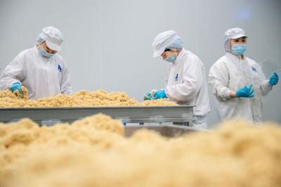 食品车间生产忙，品质安全铸辉煌