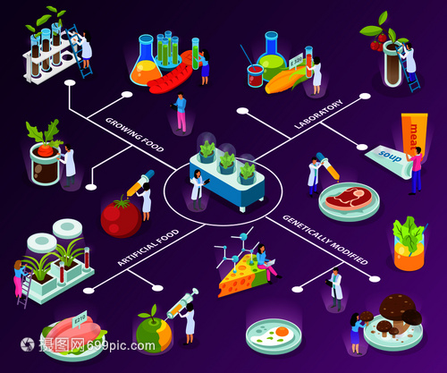 探索未来食物 人工食品的等距流程图与科学实验之紫色背景矢量解析