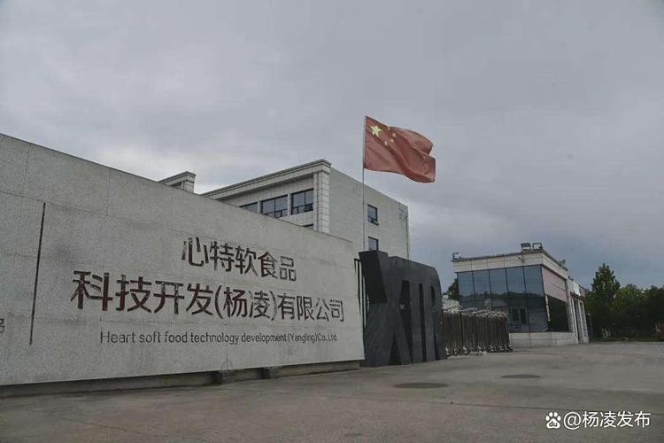 杨凌心特软食品:致力打造糕点行业"样板工厂"
